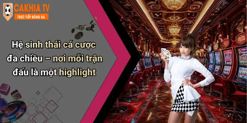 Hệ sinh thái cá cược đa chiều – nơi mỗi trận đấu là một highlight