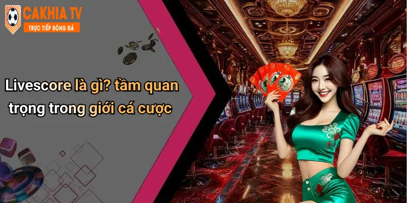 Livescore là gì? tầm quan trọng trong giới cá cược