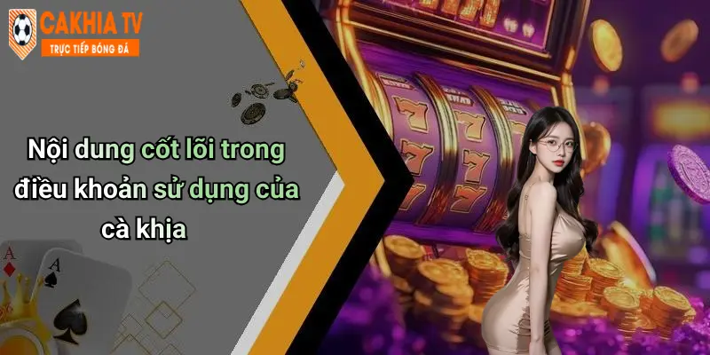 Nội dung cốt lõi trong điều khoản sử dụng của cà khịa