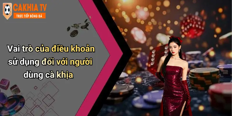 Vai trò của điều khoản sử dụng đối với người dùng cà khịa